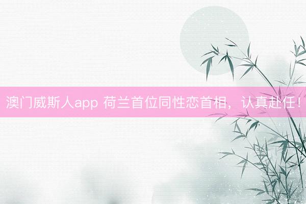 澳门威斯人app 荷兰首位同性恋首相，认真赴任！